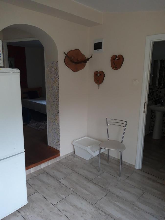 Pokoje W Lesie Miłomłyn Exterior foto